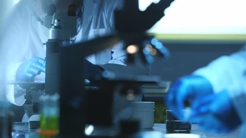 Lab Technicians Use Microscopes in a Laboratory HD Video Stock Footage