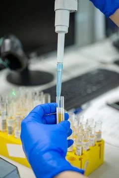 Lab technician's work in blue gloves in the lab close-up Stock Photos