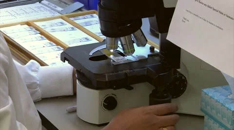 Lab technologist at microscope close up on microscope.mp4 Stock Footage 42262647