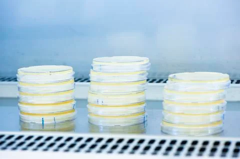 Lab test Stock Photos