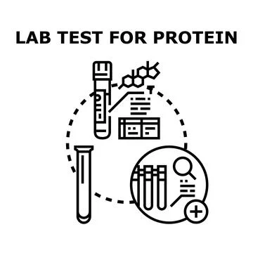 Lab test for protein medical analysis concept Illustrazione stock
