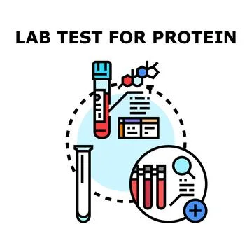 Lab test for protein medical analysis concept 库存插图