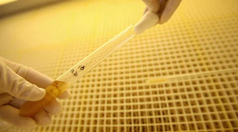 Lab test in tubes close-up Stock Footage 36646702