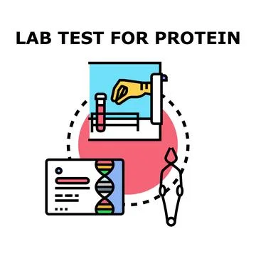 Lab testing for protein analysis and health research Stock Illustration