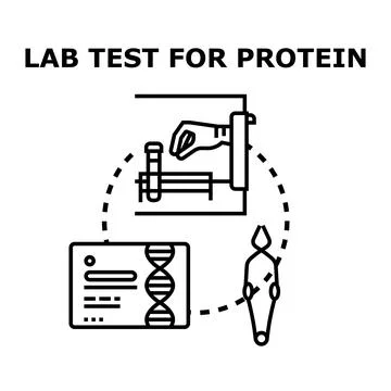 Lab testing for protein analysis and health research Stock Illustration