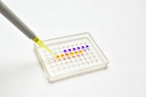 Lab tests. Stock Photos