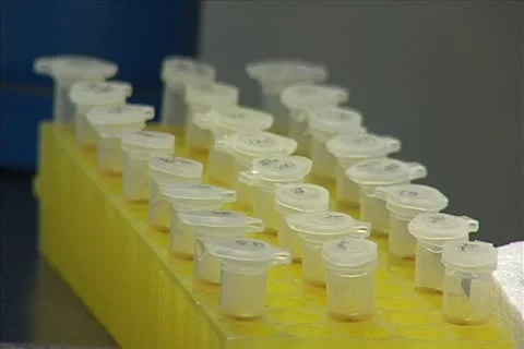 Lab Vials Stock Footage 11351218
