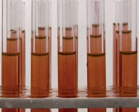 Lab work PAL Stock Footage 327543