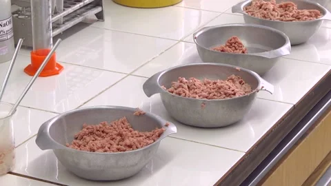 Lab worker analyzing meat sample magnifying glass Video stock 99497995