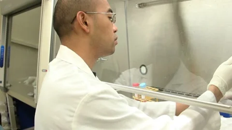 Lab Worker in Biosafety Cabinet Setup Stock-Footage 10732529
