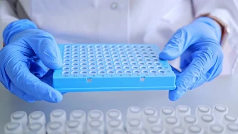 Lab worker holds blue 96-well plate with precision. Showcases attention to 스톡 동영상 233017271