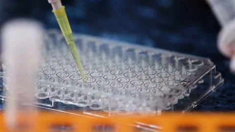 Lab worker prepares samples for testing in deep well plate Stock Footage 182544237