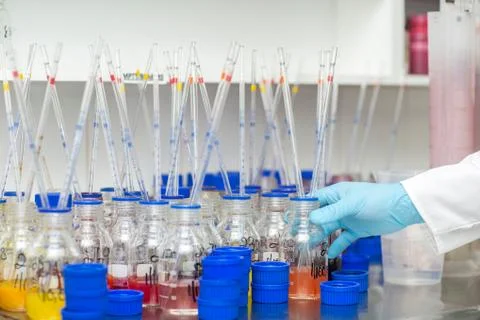 Lab worker taking dye from beaker using long pipette 스톡 사진