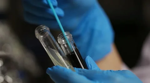Lab worker working with test tubes with fungus at the laboratory. Stock-Footage 68148721