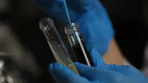 Lab worker working with test tubes with fungus at the laboratory. Vídeo Stock 68148731