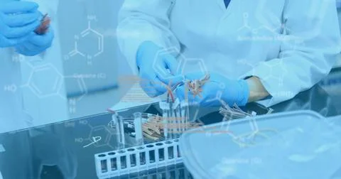 Lab workers examine samples amid COVID-19, depicted with flowing data imagery. Foto stock
