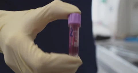 Lab00895722 스톡 동영상 172346170