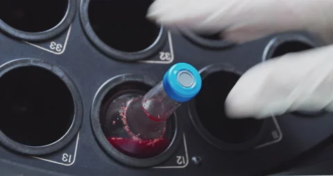 Lab00937499 스톡 동영상 172346107