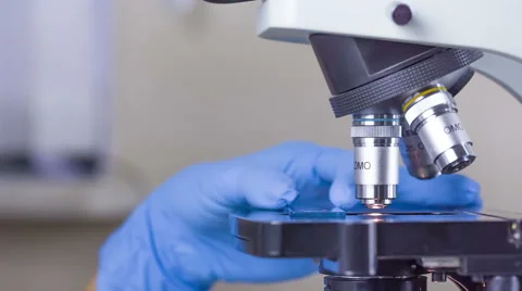 Labaratory microscope Stock Footage 47342979