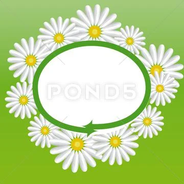 Label with the daisies Stock Illustration