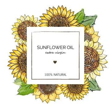 Label design template for extra virgin sunflower oil. Vector hand drawn illus Stock Illustration