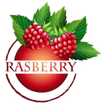 Label design with word raspberry Stock Illustration