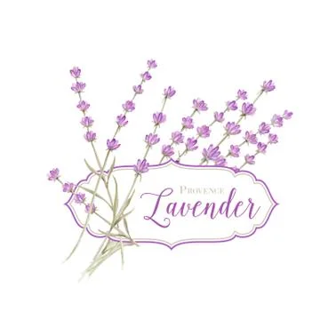 Label with lavender Stock Illustration