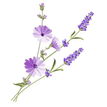 Label with lavender. Stock Illustration