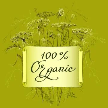 Label template with herbs Stock Illustration