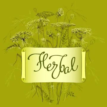 Label template with herbs Stock Illustration