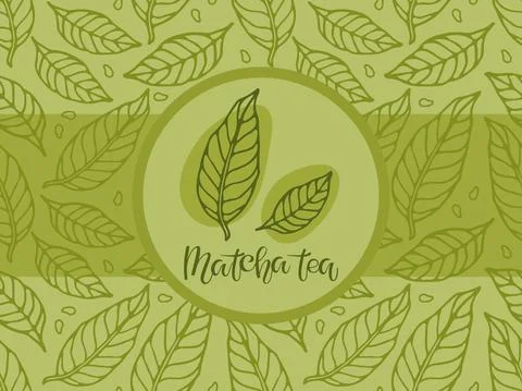 Label, wrapper for green matcha Tea. Seamless pattern with green leaves sketch Illustrazione stock
