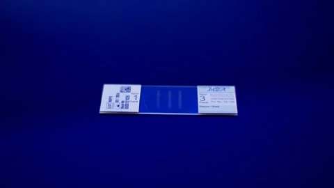 Labeled Glass Microscope Slide on Deep Blue Background, Studio Rotation Shot Vídeo Stock 341505976