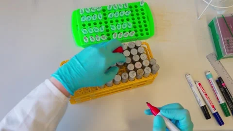 Labeling tubes of bacterial colonies for sowing on solid nutrient media 库存影片 263213636