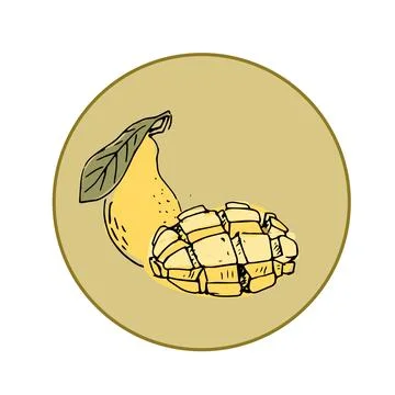 Labels with mango fruit sliced イラスト素材