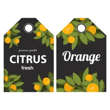 Labels with oranges on branches and the text. Stock Illustration