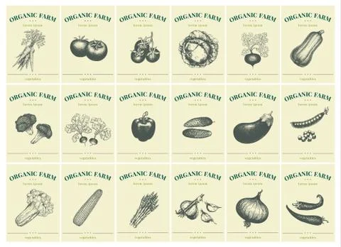 Labels with various vegetables. Set templates price tags for shops and markets Stock Illustration