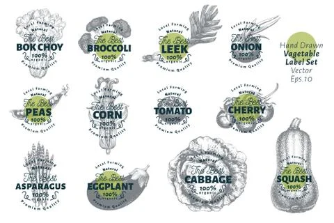 Labels with various vegetables. Set templates price tags for shops and market Stock Illustration