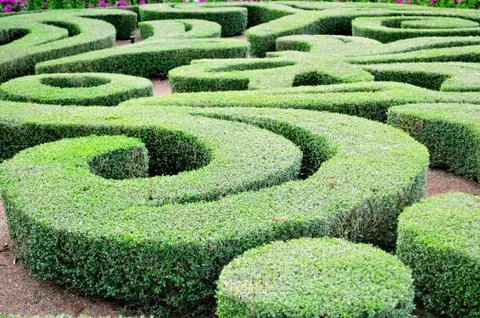 Laberinth Stock Photos