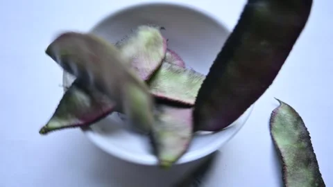 Lablab purpureus vegetable. 库存影片 264810148