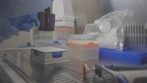 Laboratory analysis. test for covid 19. 스톡 동영상 163541149