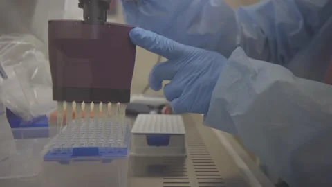 Laboratory analysis. test for covid 19. Stock Footage 163541152