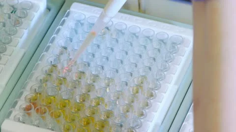 Laboratory analysis using modern medical equipment Stock Footage 12363413