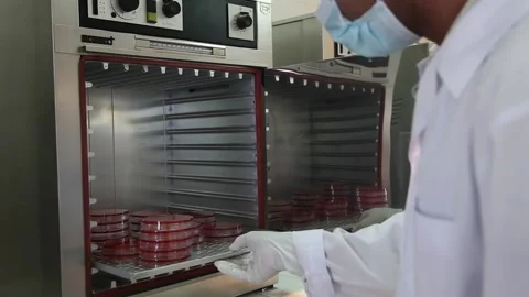 Laboratory for analyzing bacteria and viruses Stock Footage 145853829