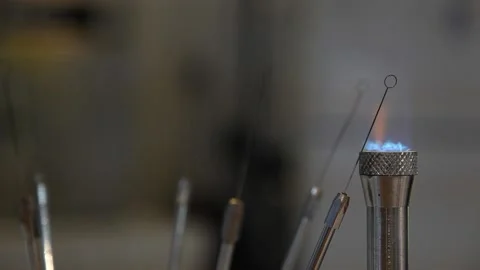  laboratory for analyzing bacteria and viruses Stock Footage 145853864