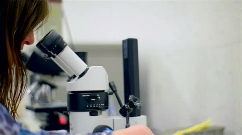 Laboratory analyzing milk. 스톡 동영상 62560942