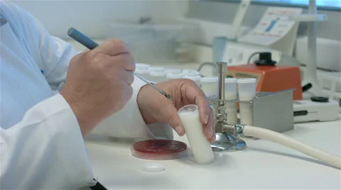 Laboratory analyzing milk. Stock Footage 62561067