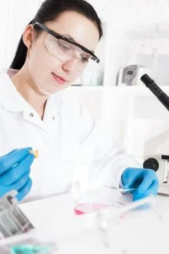 Laboratory assistant analyzing a sample Stock Photos
