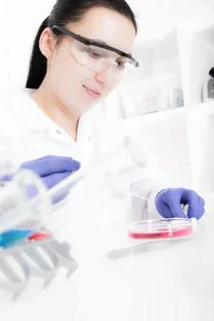 Laboratory assistant analyzing a sample Foto stock