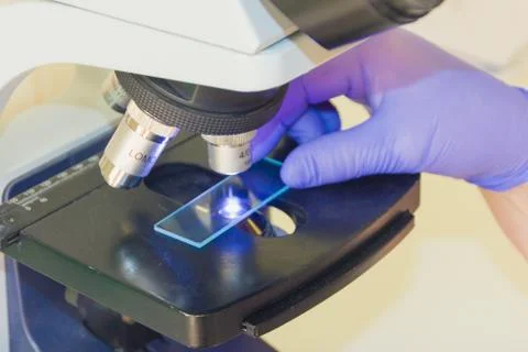 Laboratory assistant and microscope. Check the tests through a microscope. Stock Photos