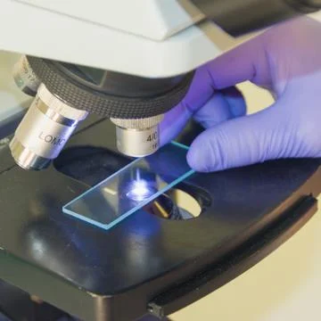 Laboratory assistant and microscope. Check the tests through a microscope. Stock Photos